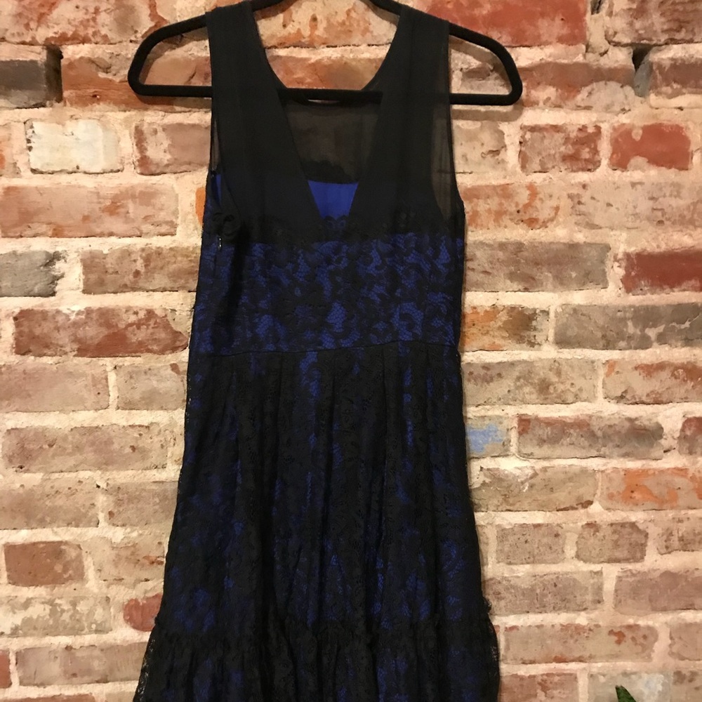 Lace Sheer paneled Dress